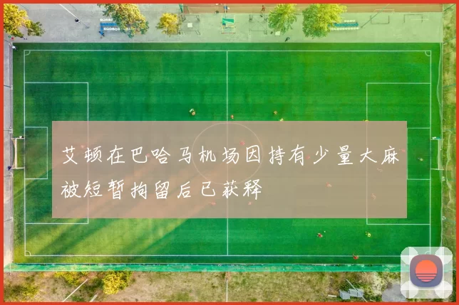 艾顿在巴哈马机场因持有少量大麻被短暂拘留后已获释