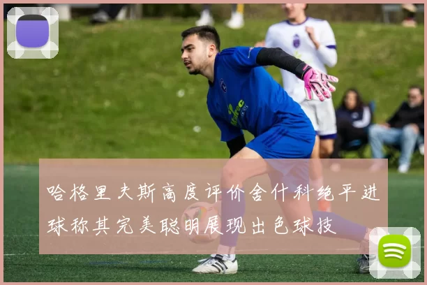 哈格里夫斯高度评价舍什科绝平进球称其完美聪明展现出色球技